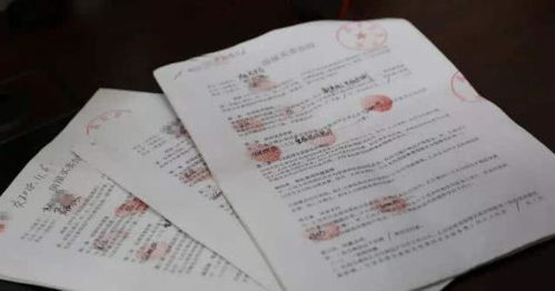 购房合同样本详解，轻松掌握房产交易中的关键条款