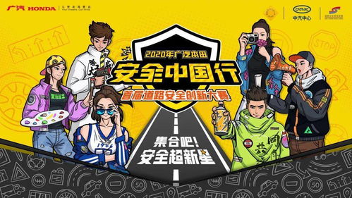 全面解读新交规全文，助力安全驾驶，共创和谐交通