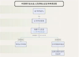 获取B2资格证，开启职业新阶段的关键