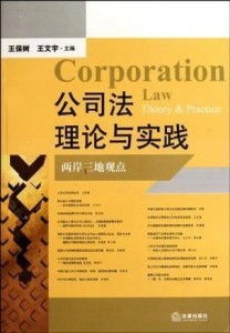 公司法案例解析，从理论到实践的全面解读