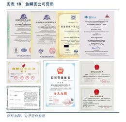 深入了解测绘资质管理办法，保障地理信息行业的健康发展