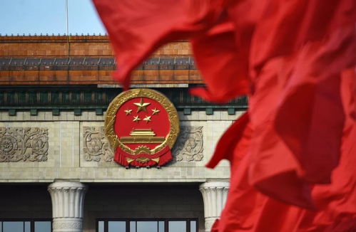 解读中华人民共和国民法典，全面了解公民权利与义务的法律基石