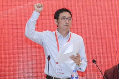 南京交通曝光查询，保障城市交通秩序与安全的关键环节