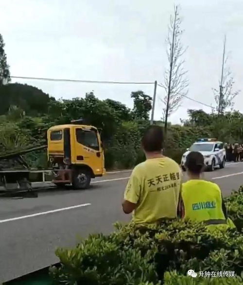 解读张家界车祸，从悲剧中汲取教训，提升出行安全意识