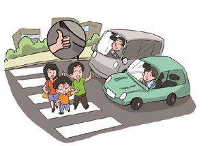 从悲剧中汲取教训，提升交通安全意识