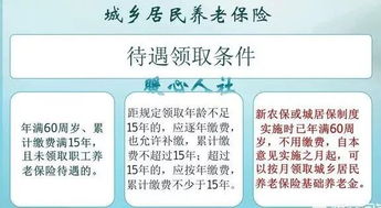 农民如何交养老保险？——全面解析与实用指南