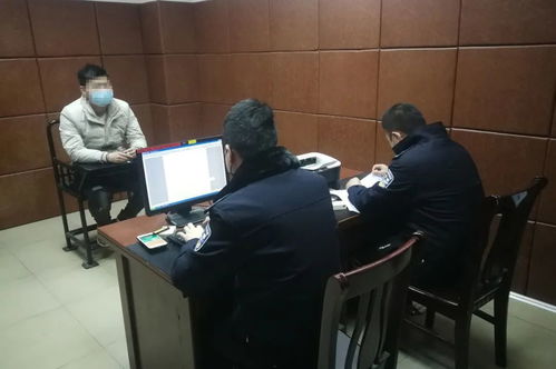 廊坊发生刑事案件，社区安全与法治建设的警钟