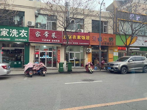 沈阳交通违章现象及应对措施解析