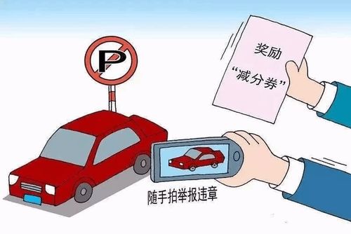 沈阳交通违章现象及应对措施解析