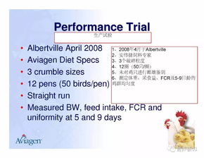 报到证的作用，理解其重要性与影响