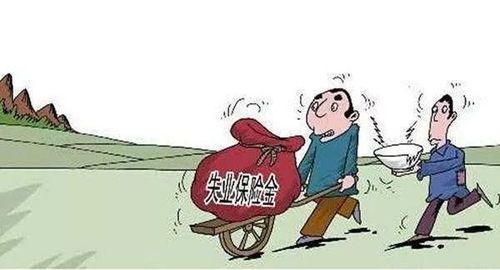 失业保险如何领取，全面解析及实操步骤