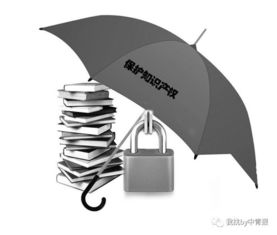 保护创新的盾牌——解读知识产权侵权及其影响