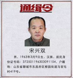 深入解读网上在逃通缉犯名单的形成与影响