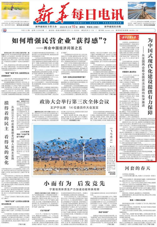 解读中国政府法制信息，构建法治社会的关键支柱