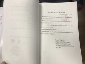 法国签证好办吗？一份详尽指南助你轻松搞定