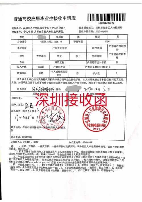报到证查询全攻略，就业派遣与档案管理的关键环节