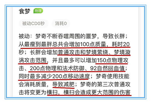 个人所得税退税政策全解析，如何最大化您的退税收益