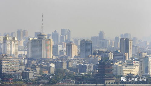 房屋租赁新政对租房市场的深远影响