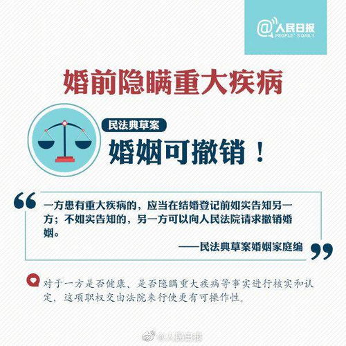 民法典草案，生活中的法律指南，让权益更清晰