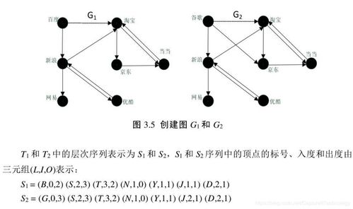 DNA相似度，解读生命蓝图的钥匙