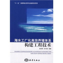 构建高效、安全的工程管理体系