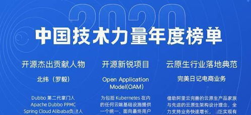 木材生意入门指南，从新手到成功的全方位解析