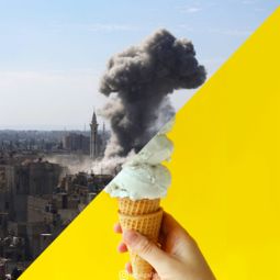 守护公正与真相的权威防线