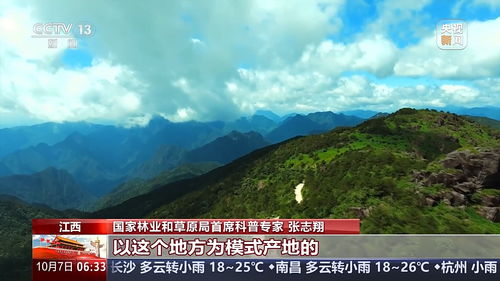 武夷山公园现新物种，探索自然奇迹与生态保护的新篇章