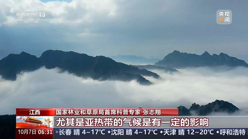 武夷山公园现新物种，探索自然奇迹与生态保护的新篇章