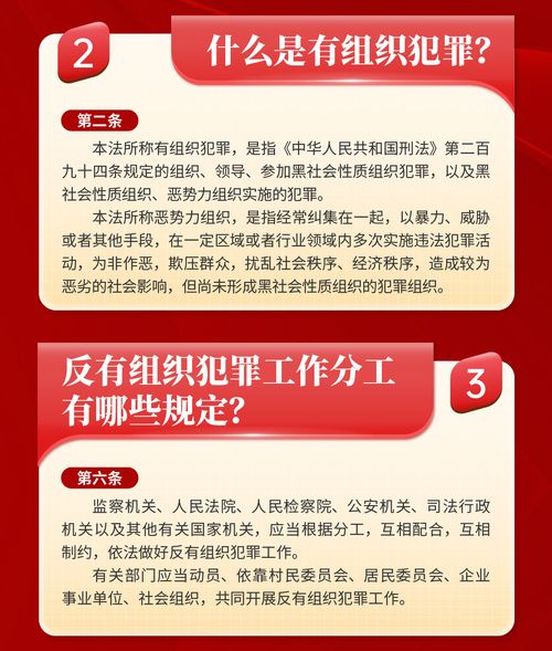 解读相关法律法规与政策，保障您的权益，助力社会和谐发展
