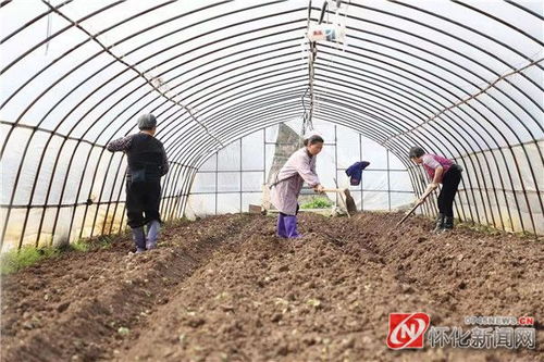 春耕备耕正当时，播种希望，收获未来