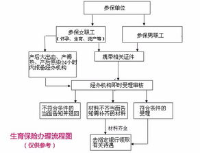 详解生育保险报销流程与注意事项