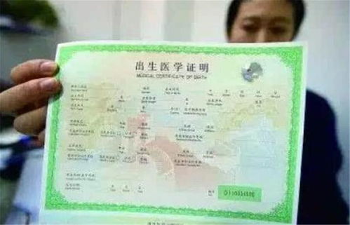 揭秘出生医学证明查询，守护孩子身份的金钥匙