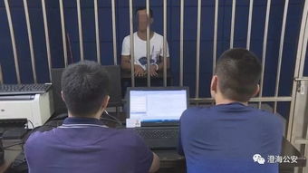 警方回应猫尸塞课桌事件，深入调查与公众呼吁的交汇