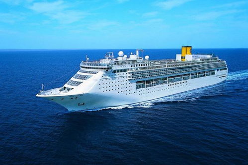 年轻人上邮轮打工，探索海洋的无限可能