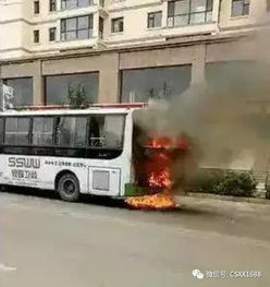 公交车着火了该怎么办？——全面指南与安全提示