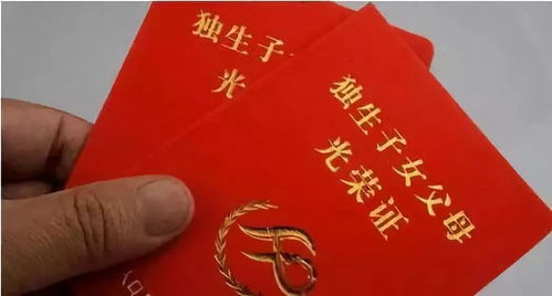 独生子女证办理指南，政策解读与详细流程