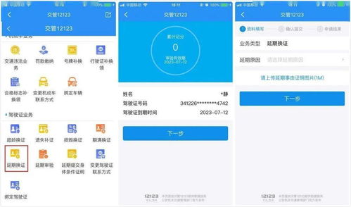 南阳车管所违章查询，轻松掌握车辆违章信息