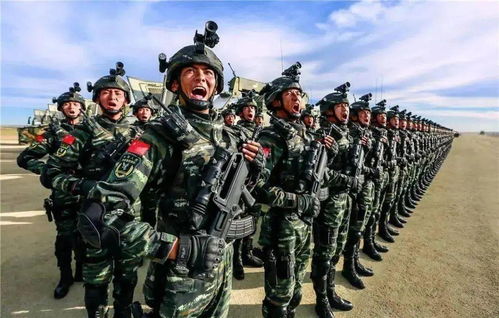 大学生当兵报名，青春与责任的碰撞