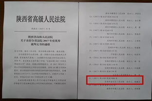 一审民事判决书，理解法律文书的关键步骤