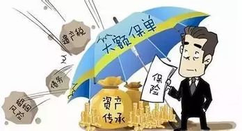 深入了解财产保全期限，保护您的资产安全
