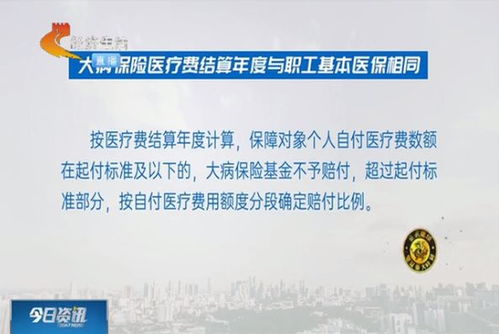 农村合作医疗网上缴费，便捷、高效、惠民—新时代农村医疗保障体系的升级