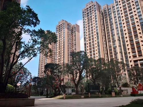 房地产开发公司，从蓝图到现实的桥梁