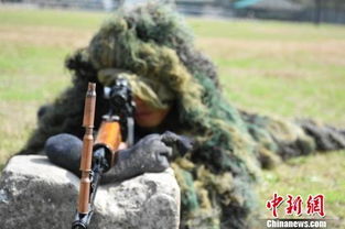 特警百米外击中疯牛，精准射击与公共安全