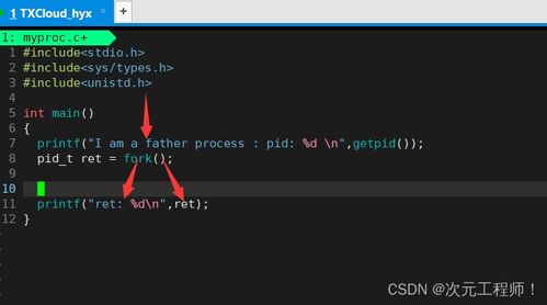 深入解析副本概念，含义、应用及其重要性