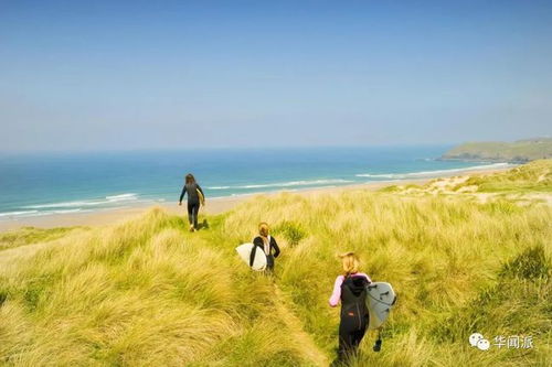 五一假期出行指南，把握高速免费时间，享受畅通无阻的旅程！