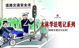 危险驾驶罪，法律的红线与生命的底线