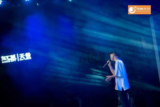 刀郎以新身份亮相，音乐与人生的华丽转身