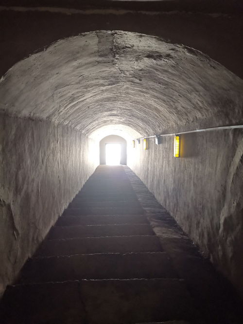 西安疫情动态，了解最新进展与解封展望