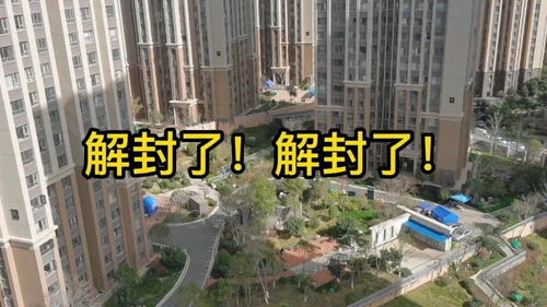 西安疫情动态，了解最新进展与解封展望